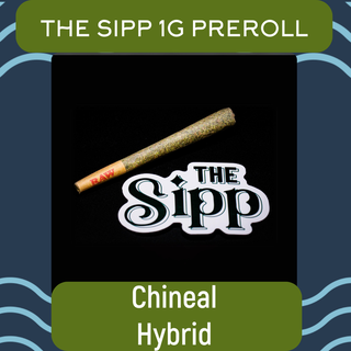 Chineal The Sipp