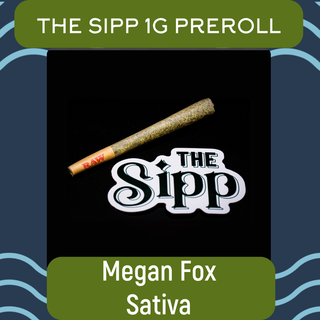 Megan Fox The Sipp
