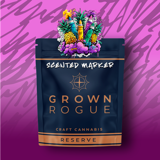Scented Marker Flower Grown Rogue Reserve