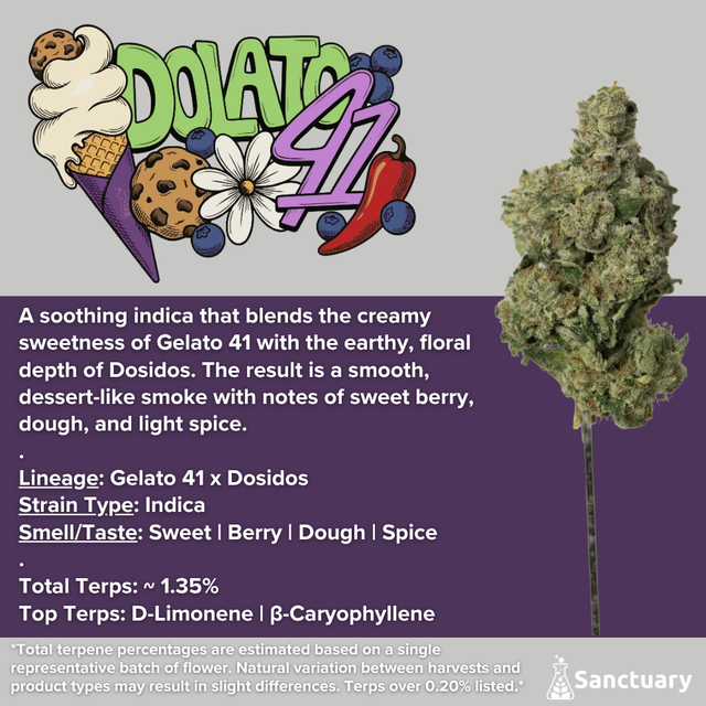 Dolato 41 Sanctuary