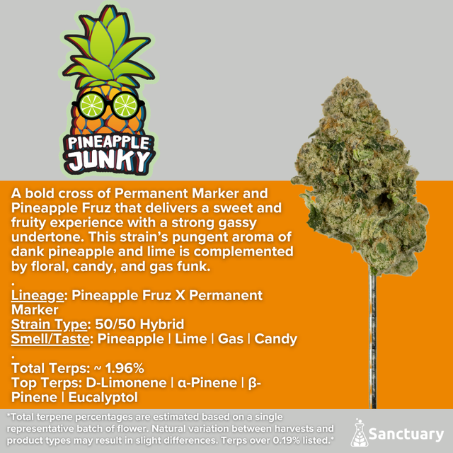 Pineapple Junky Sanctuary