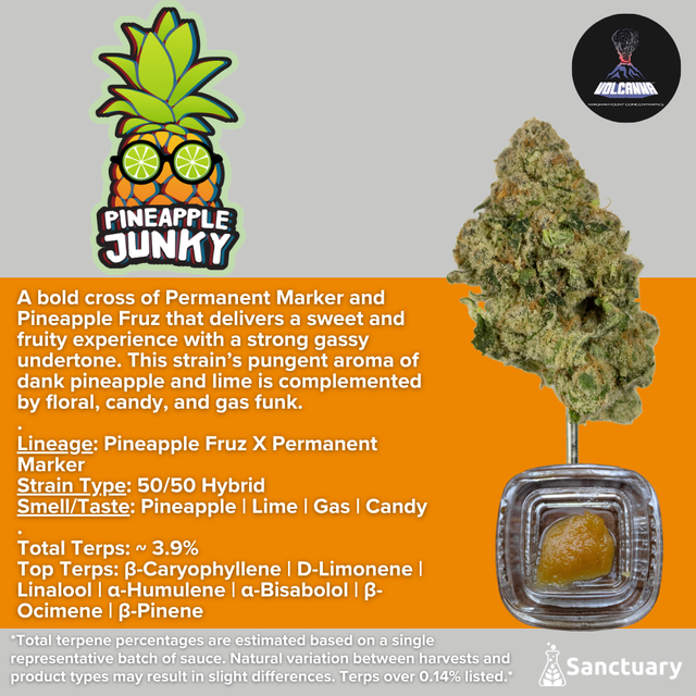 Pineapple Junky - Cured Resin Volcanna