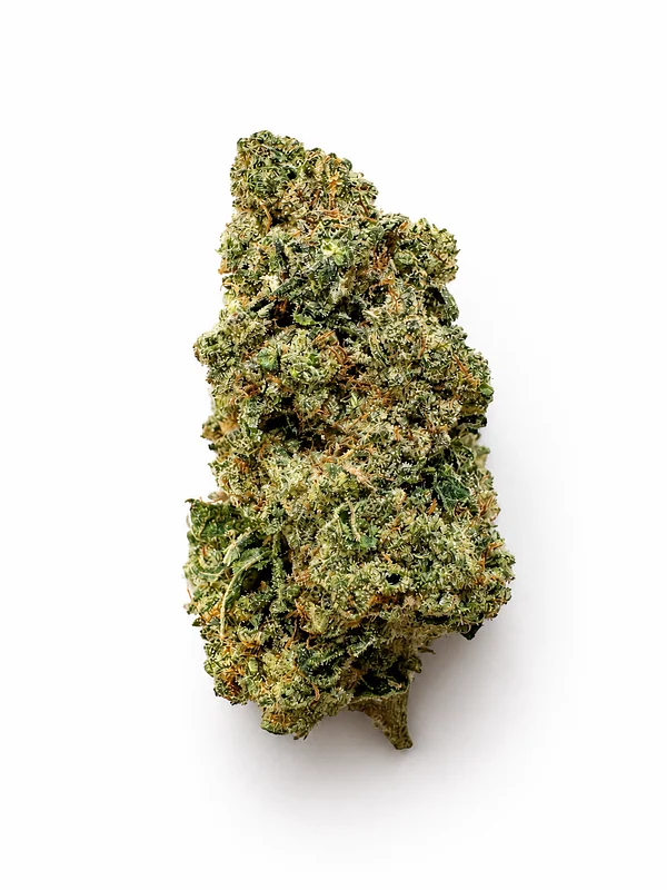 Sour Diesel SP Farms Sour Diesel SP Farms