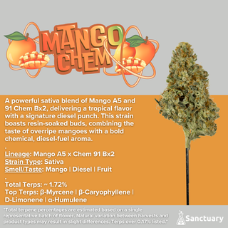 Cannabis Promo, Cannabis Sales, Cannabis Discounts, Cannabis on Sale, 2 for 40 Sanctuary Eighths! 3