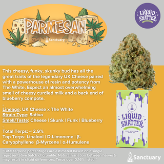Parmesan Liquid Shatter