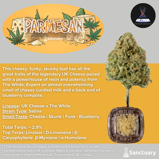Parmesan - Cured Resin Volcanna