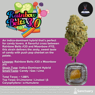 Rainbow Belts 3.0 - Cured Resin Volcanna