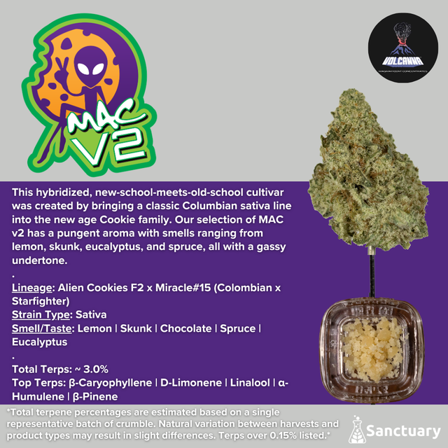 Mac V2 - Cured Resin Volcanna