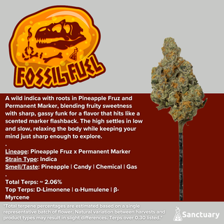 Fossil Fuel Sanctuary