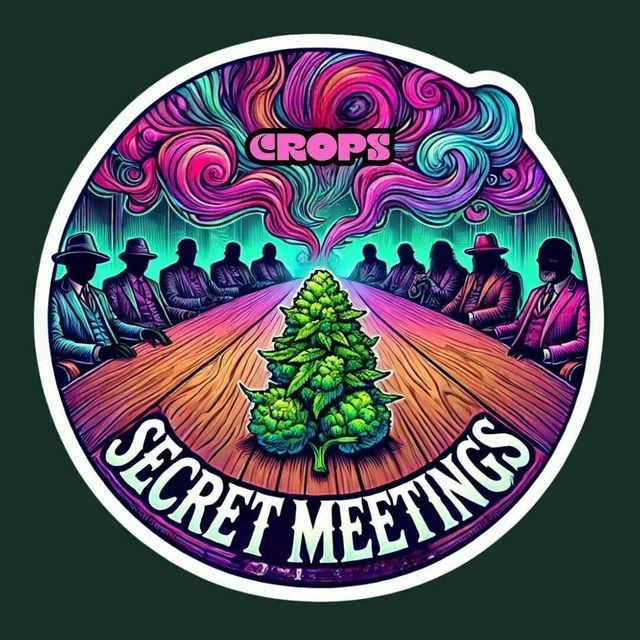 Secret Meetings | Big Buds | 14G Crops