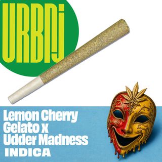 Lemon Cherry Gelato x Udder Madness Preroll Urbnj
