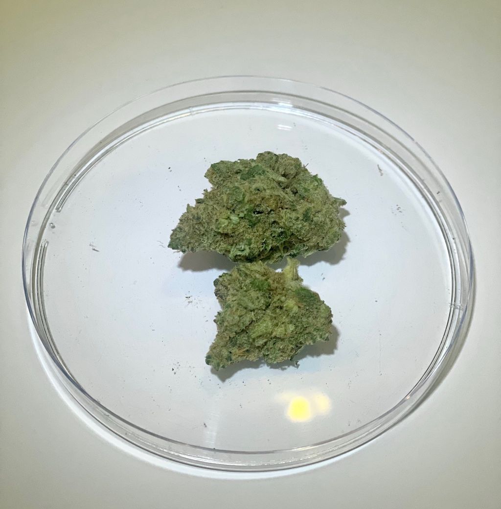 Lime Dawg