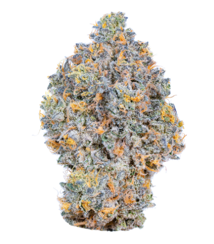 Blue Nerdz ONLE Blue Nerdz ONLE