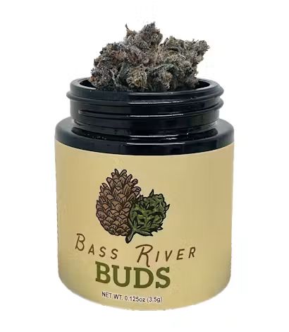 Glue Sniffer Bass River BUDS Glue Sniffer Bass River BUDS