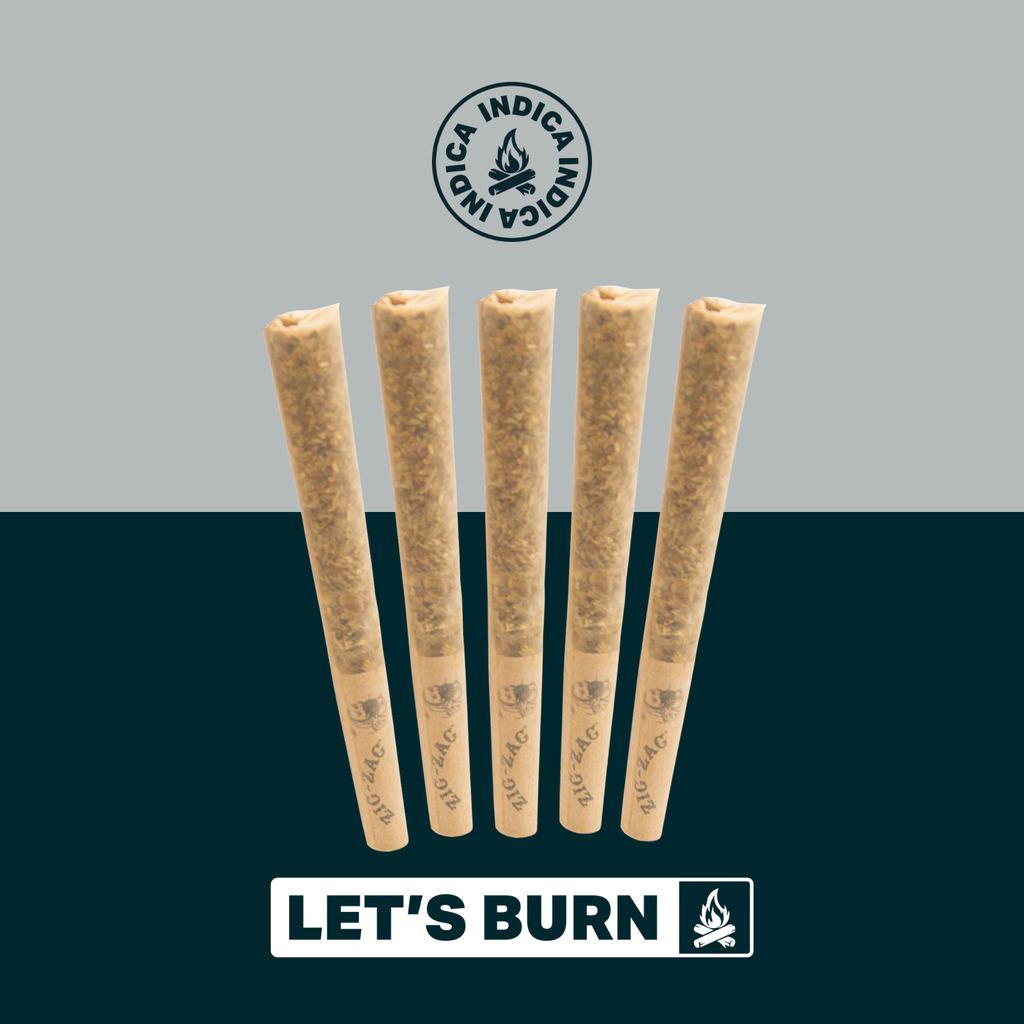 Let's Burn Cadillac Rainbows Shorties 5pk