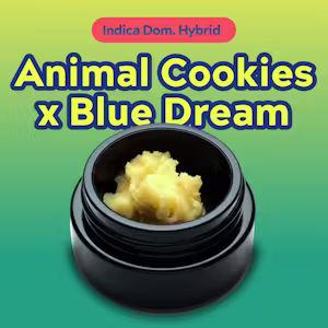 Live Resin - Animal Cookies x Blue Dream North Lake Supply Live Resin - Animal Cookies x Blue Dream North Lake Supply