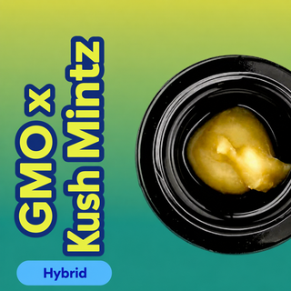 Live Resin - GMO x Kush Mintz North Lake Supply