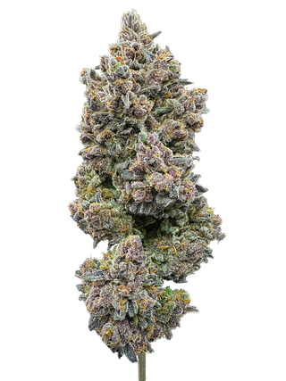 Fruit Pebblez Trifecta Farms