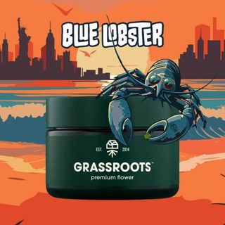 Blue Lobster Grassroots