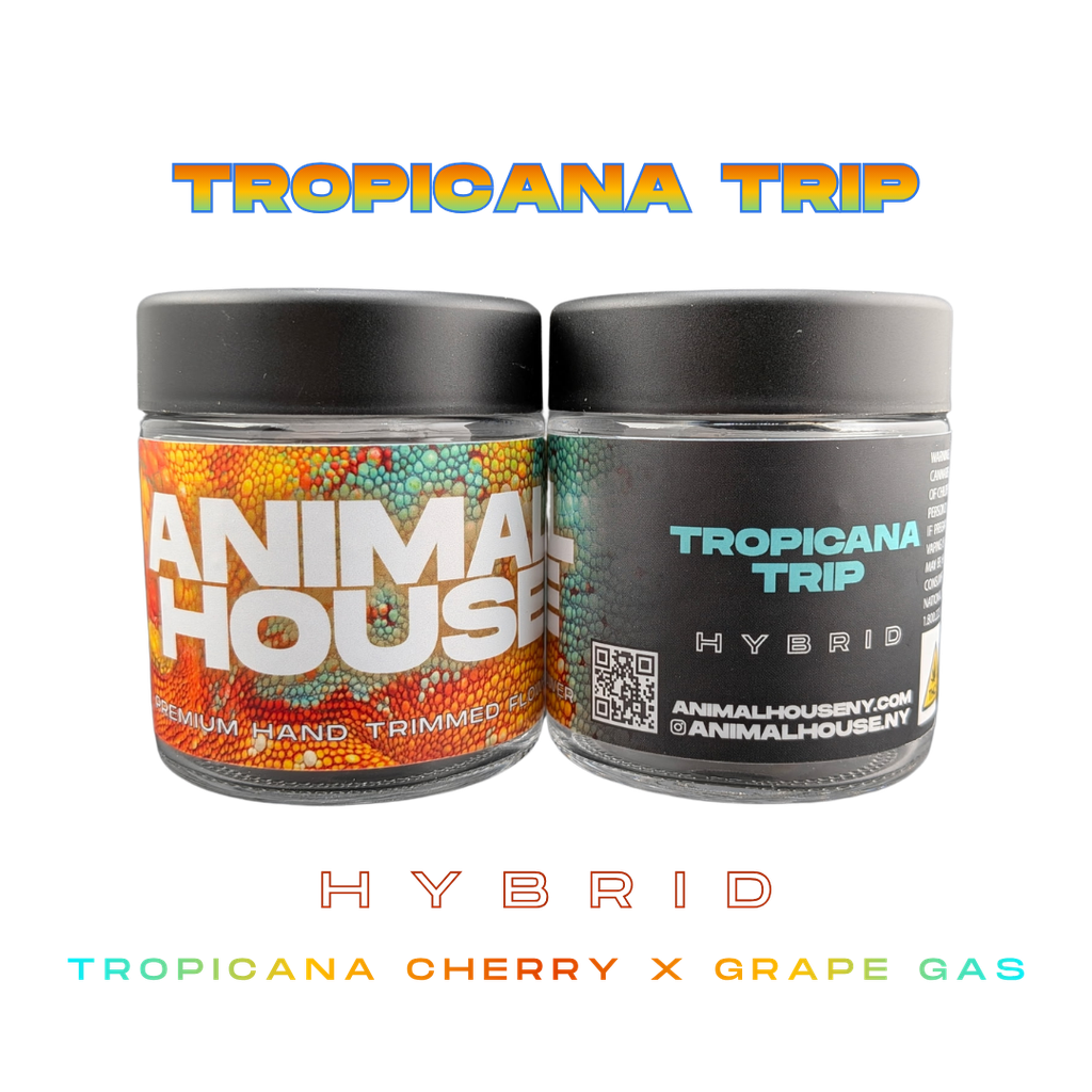 Animal House| Tropicana Trip