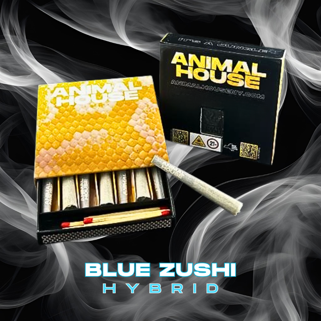 Animal House|BLUE ZUSHI/3.5 G KIEF INFUSED PREROLL 7PK 0.5