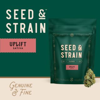 3D Seed & Strain