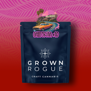 California #10 Grown Rogue
