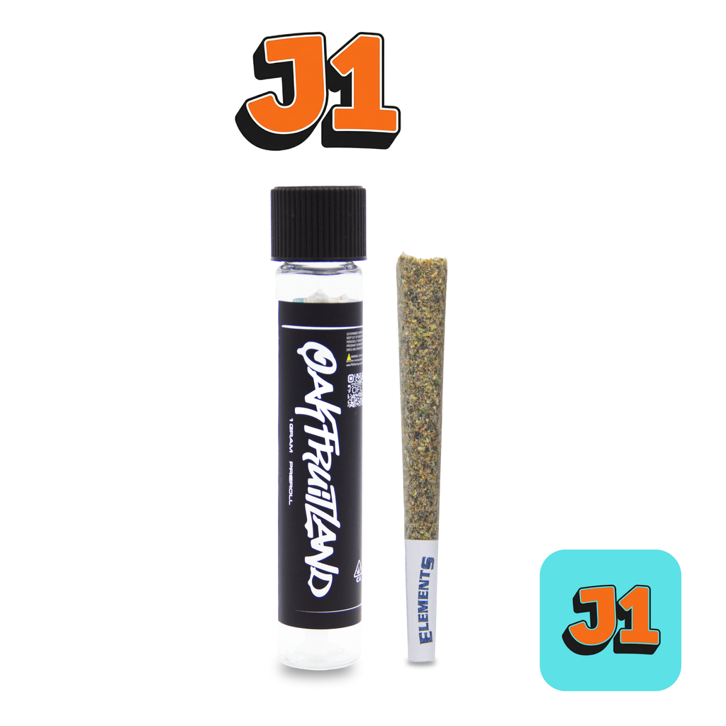 J1