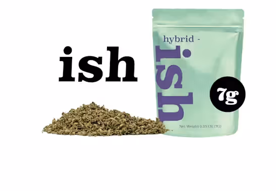 Kashmere Kush ISH
