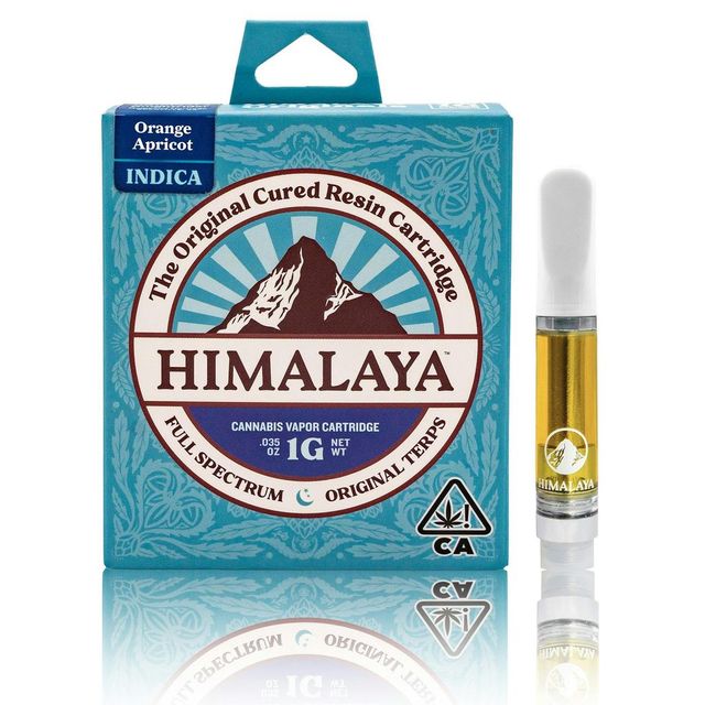 Orange Apricot Himalaya Standard