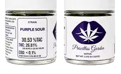 Priscillas Garden Purple Sour Priscilla Gardens