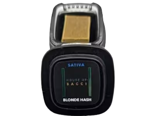 Blonde Sativa House of Sacci