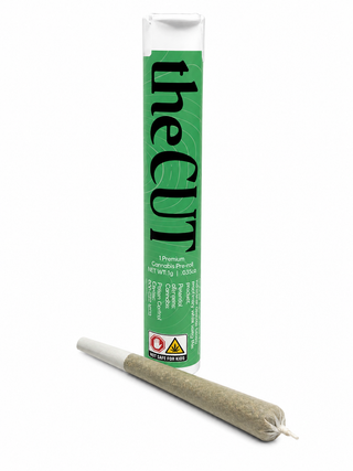 Glitter Glue | The Cut