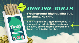 Smirkz 0.35g Pre-Roll Mini (10ct) Float