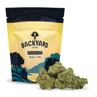 Paradise Haze Backyard