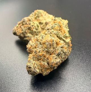 Specimen X Options Grow