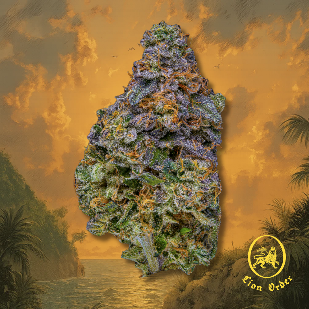 Runna Gyal (27.5% THC)