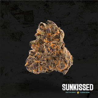 RS-11 x Tear Gas Sunkissed