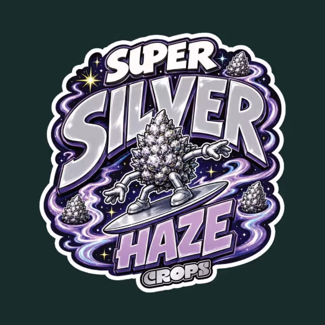 Super Silver Haze Crops