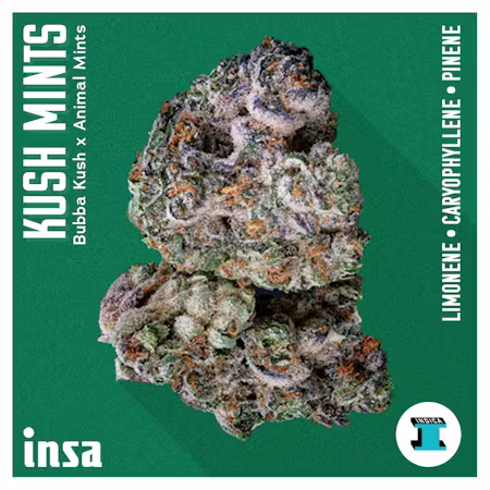 Kush Mints Insa