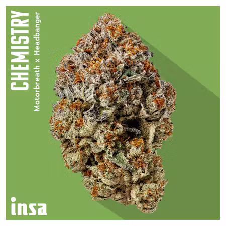 Chemistry Insa Chemistry Insa