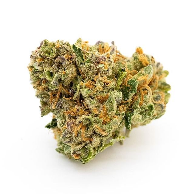 Cherry Diesel Terrapin