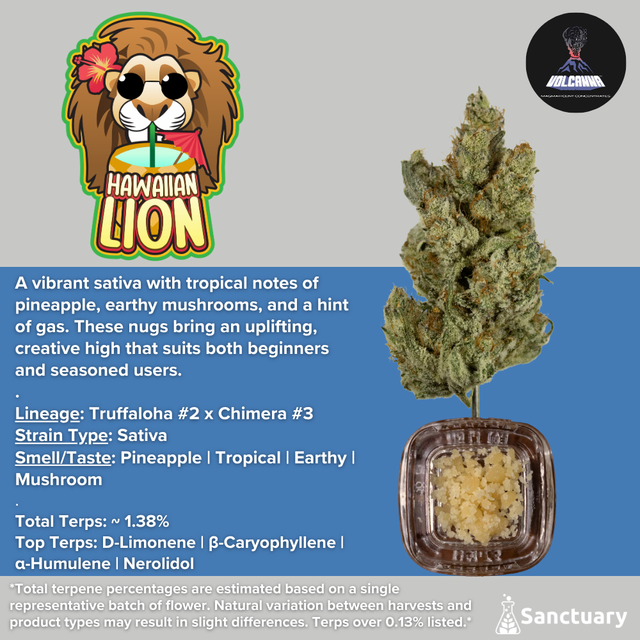 Baller Jar - Hawaiian Lion - Cured Resin Volcanna