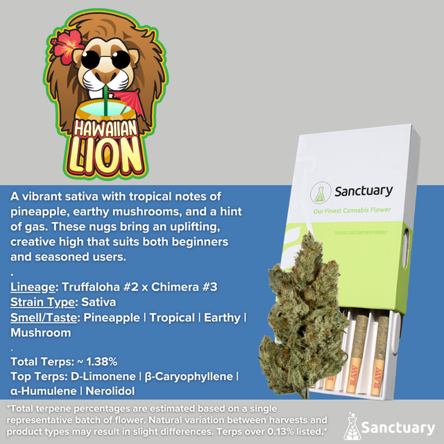 Hawaiian Lion Sanctuary