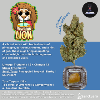 Hawaiian Lion - Cured Resin Volcanna