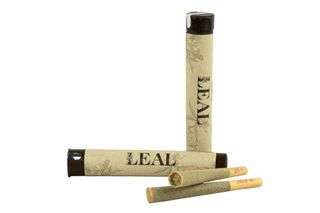 Platinum Lemon Cherry Gelato  Leal