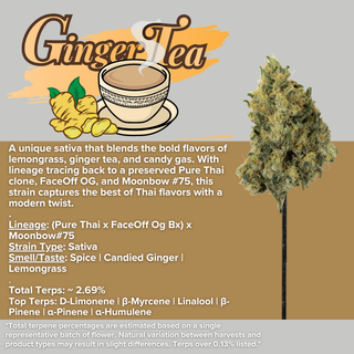 Ginger Tea Sanctuary