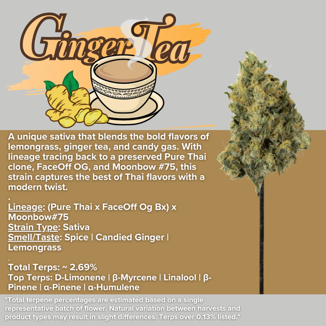 Ginger Tea Sanctuary