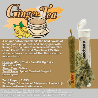 Ginger Tea Sanctuary