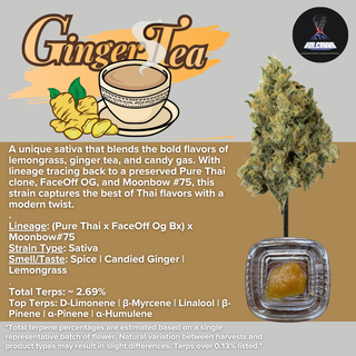Ginger Tea - Cured Resin Volcanna